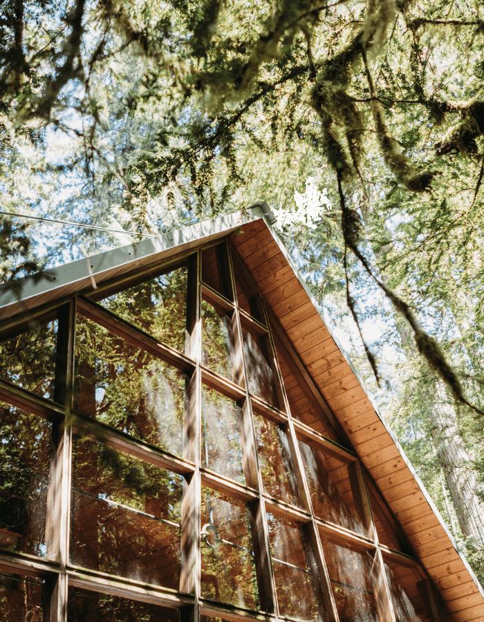 Edifico Construction - Renovation - iStock 1254608470 min